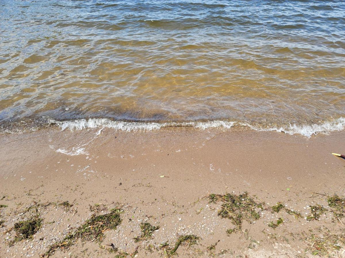 Fun Place With A Sandy Beach For Swimming, Boating, And Fishing, Featuring 3 Available Cabins Fenelon Falls المظهر الخارجي الصورة