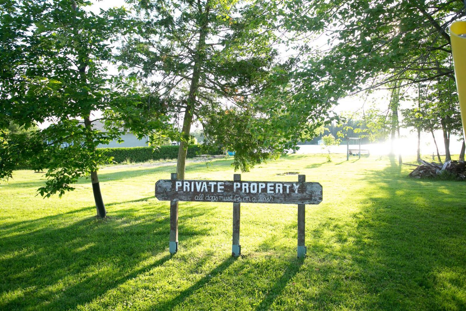 Fun Place With A Sandy Beach For Swimming, Boating, And Fishing, Featuring 3 Available Cabins Fenelon Falls المظهر الخارجي الصورة